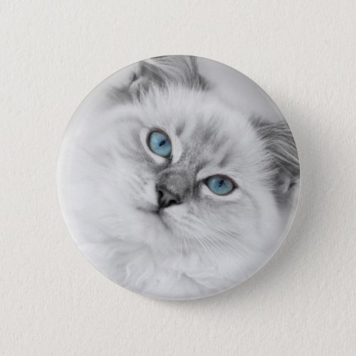 ragdoll button