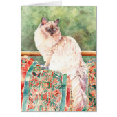 "Ragdoll" cat (Front)