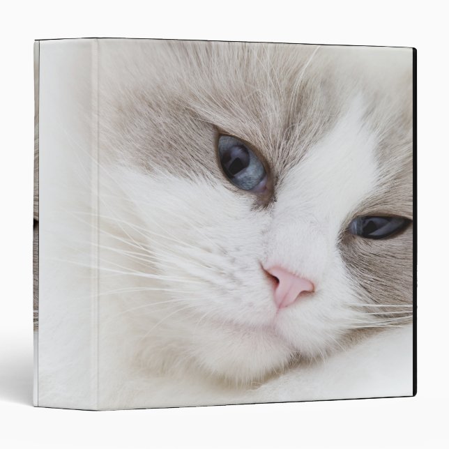 Ragdoll cat 3 ring binder (Front/Spine)