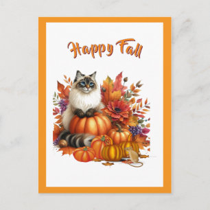 Ragdoll Cat and Pumpkins Happy Fall Holiday Postcard