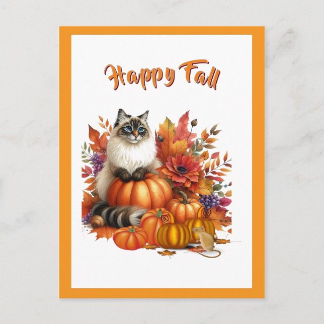  Ragdoll Cat and Pumpkins  Happy Fall  Holiday Postcard (Front)