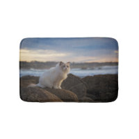 Ragdoll Cat At The Beach