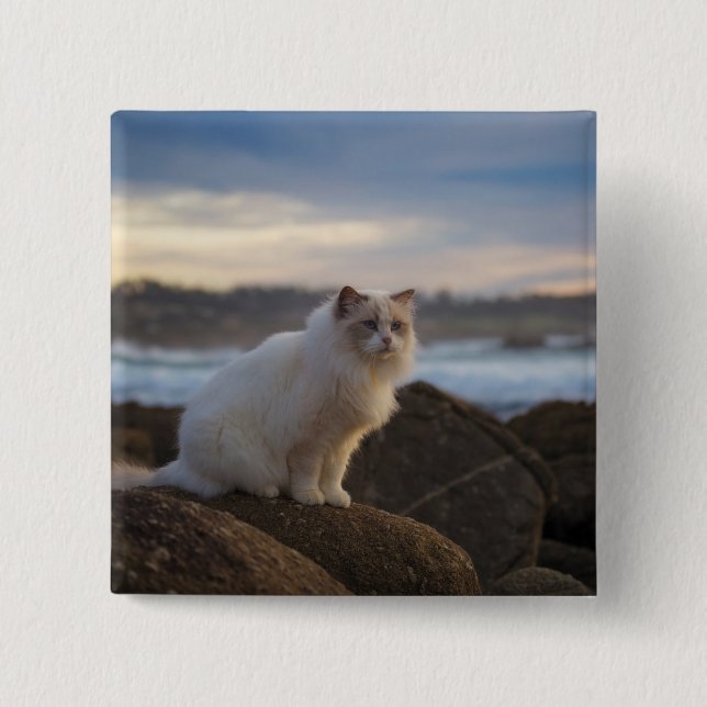 Ragdoll Cat At The Beach Button (Front)