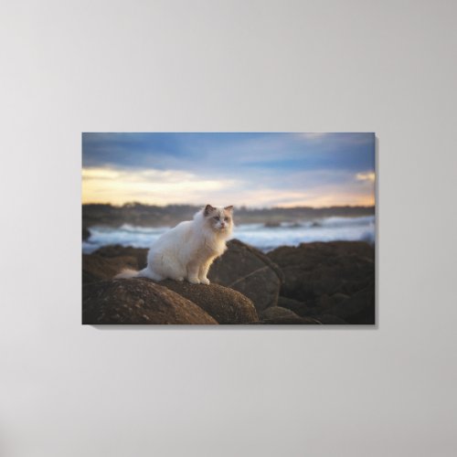 Ragdoll Cat At The Beach Canvas Print