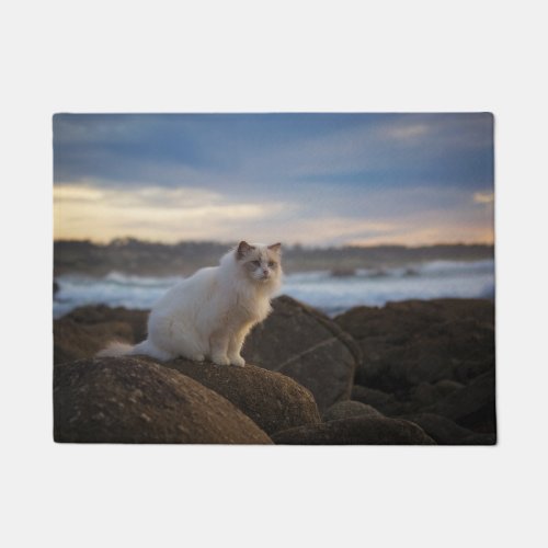 Ragdoll Cat At The Beach Doormat