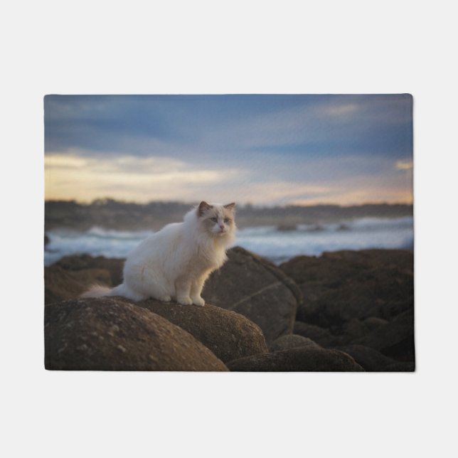 Ragdoll Cat At The Beach Doormat (Front)