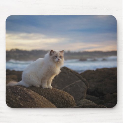 Ragdoll Cat At The Beach Mouse Pad