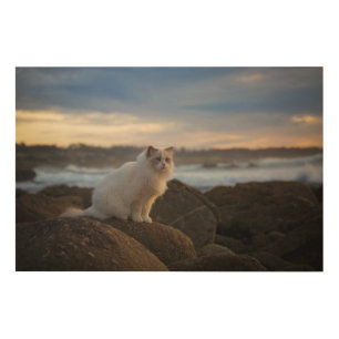 Ragdoll Cat At The Beach Wood Wall Decor