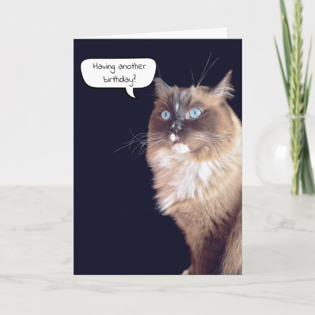 Ragdoll Cat Birthday Humor Card (Front)