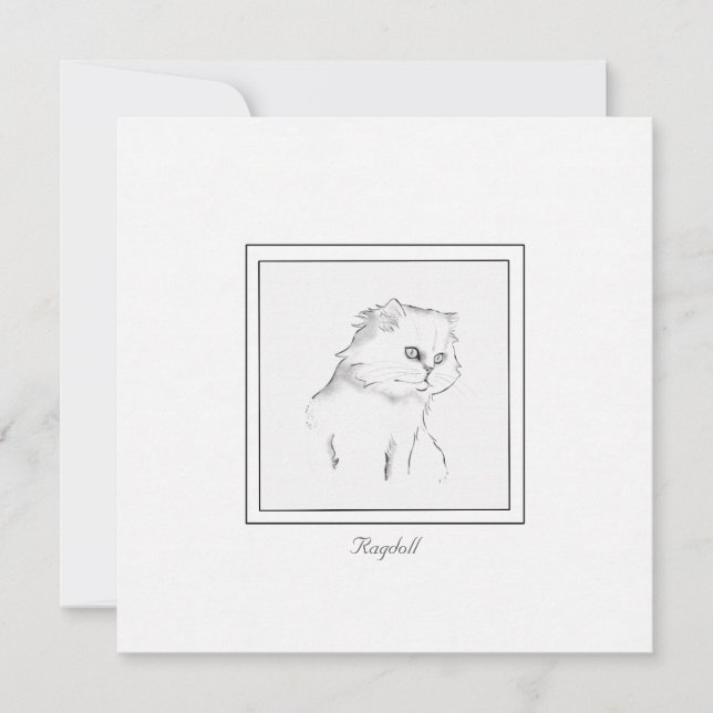 Ragdoll Cat Black and White Contemporary Note Card (Front)