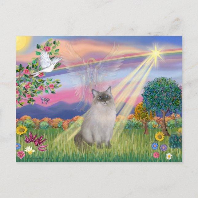 Ragdoll Cat (Blue Point) - Cloud Angel Postcard (Front)