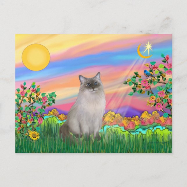 Ragdoll Cat (Blue Point) - Day Star Postcard (Front)