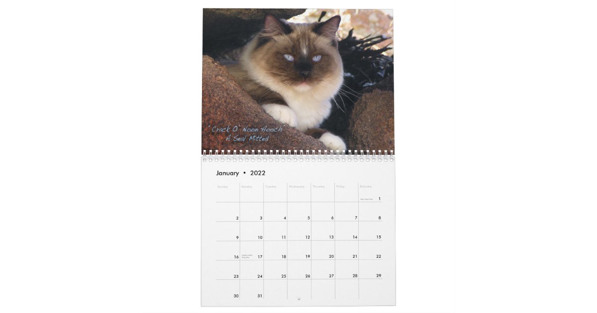 Ragdoll Cat Calendar