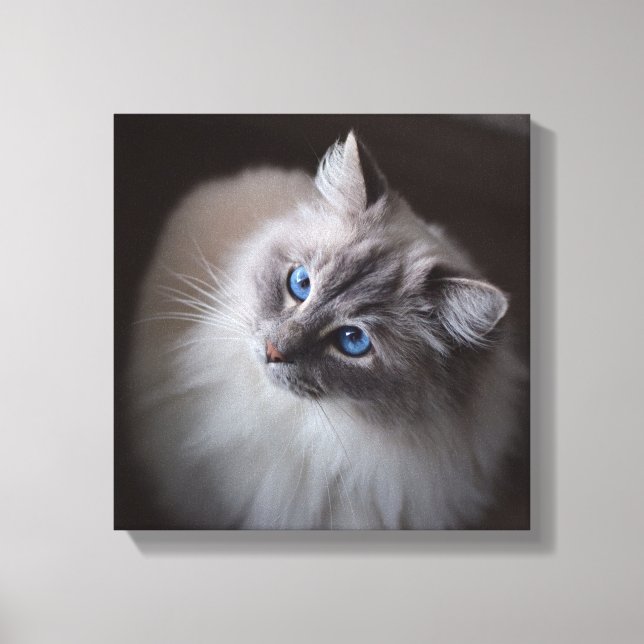 Ragdoll Cat Canvas - Millie's Blue Eyes Print (Front)