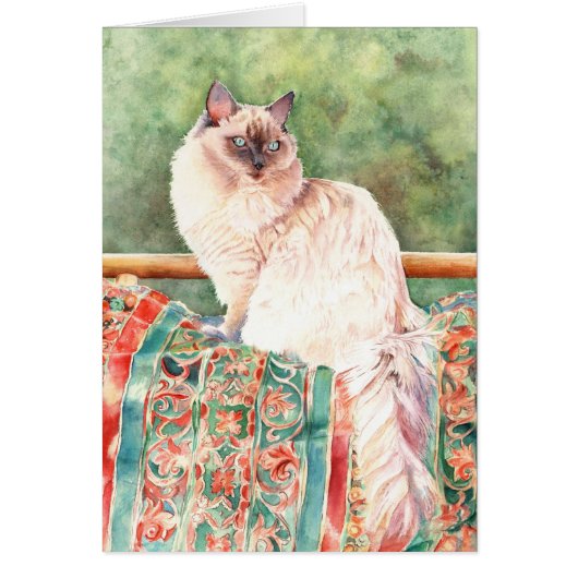 "Ragdoll" cat Cards (Front)