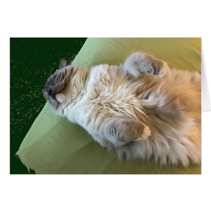 Ragdoll Cat Couch Potato Card