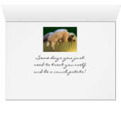 Ragdoll Cat Couch Potato Cards (Inside Horizontal (Bottom))