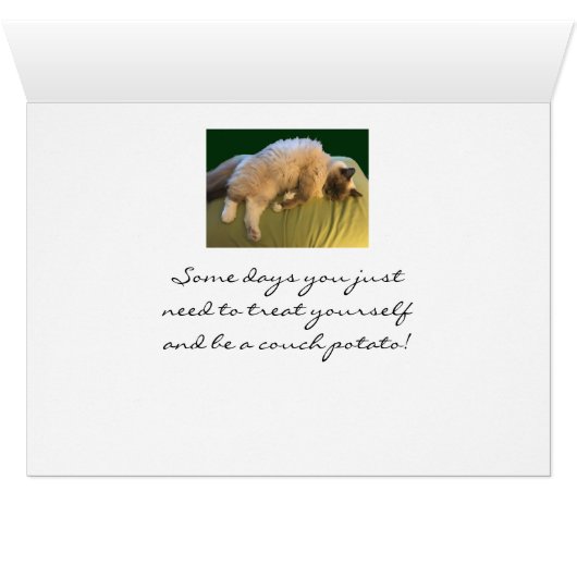 Ragdoll Cat Couch Potato Cards (Inside Horizontal (Bottom))