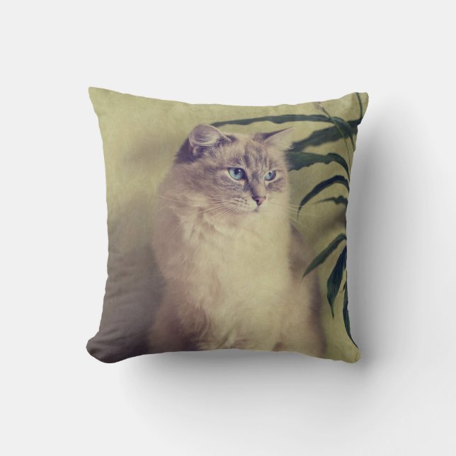 Ragdoll Cat Cushion (Front)