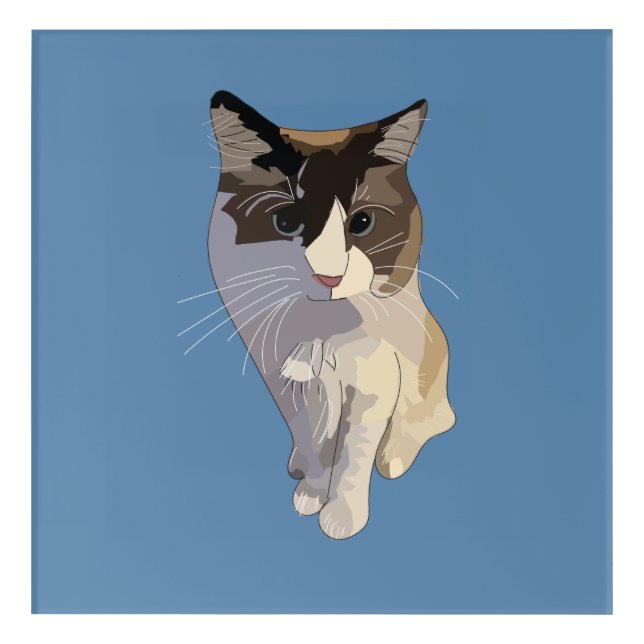 Ragdoll cat, Dusty Blue Acrylic Print (Front)