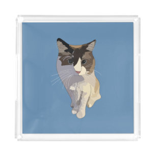 Ragdoll cat, Dusty Blue Acrylic Tray