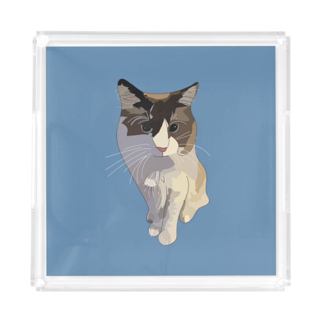 Ragdoll cat, Dusty Blue Acrylic Tray (Front)