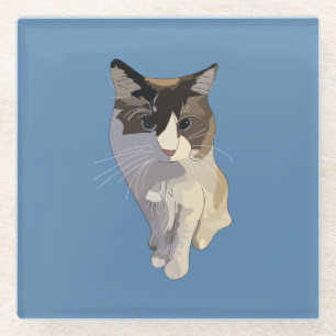 Ragdoll cat, Dusty Blue Glass Coaster