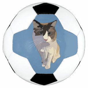 Ragdoll cat, Dusty Blue Soccer Ball