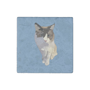 Ragdoll cat, Dusty Blue Stone Magnet