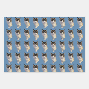 Ragdoll cat, Dusty Blue Wrapping Paper Sheets