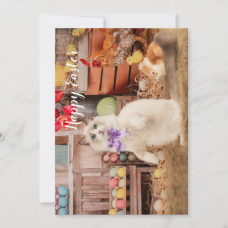 Ragdoll Cat Easter Greeting Card