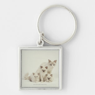 Ragdoll cat female with kittens keychain