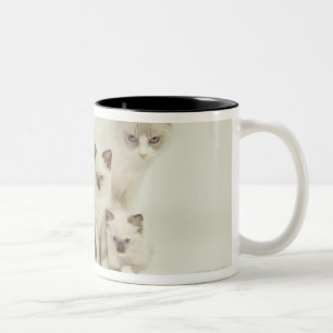 Ragdoll cat female with kittens Two-Tone coffee mug