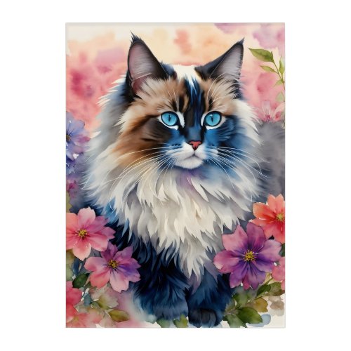 Ragdoll Cat Floral Portrait Acrylic Print