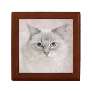ragdoll cat gift box
