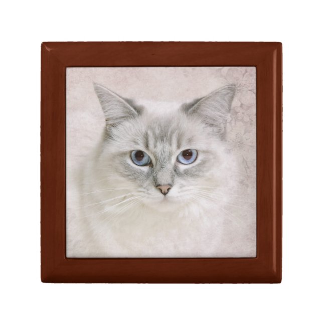ragdoll cat gift box (Front)