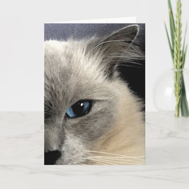 Ragdoll Cat Greeting Card (Front)
