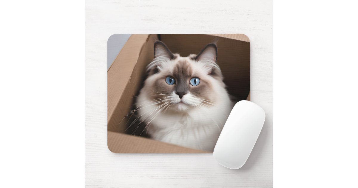 Cardbored Ragdoll Ragdoll Cat in Cardboard Box Mouse Pad | Zazzle