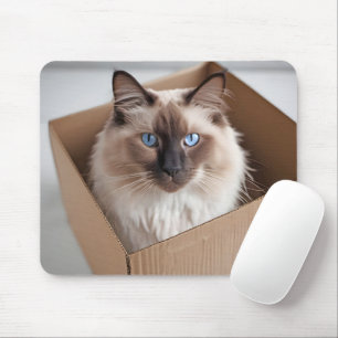 Ragdoll Cat In Cardboard Box Mouse Pad