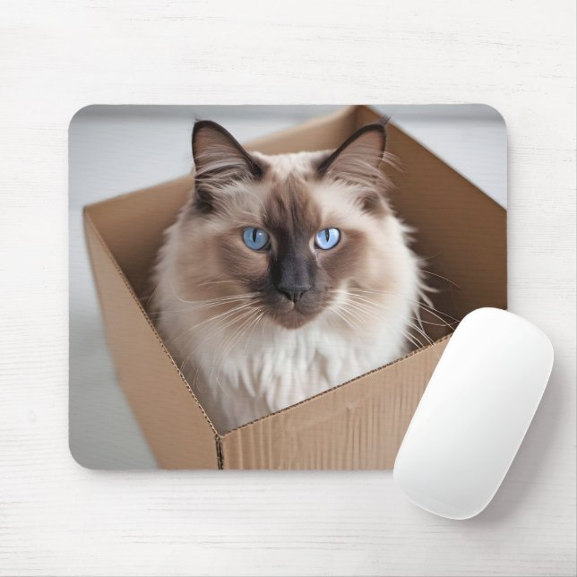 Ragdoll Cat In Cardboard Box Mouse Pad (With Mouse)