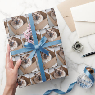 Ragdoll Cat In Cardboard Box Wrapping Paper