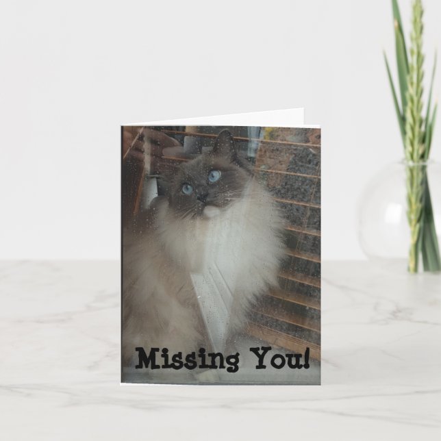 Ragdoll Cat - Missing You! Card (Front)