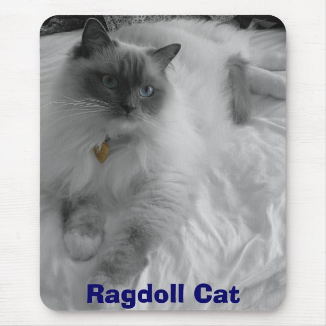 Ragdoll Cat Mouse Pad (Front)