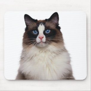 Ragdoll Cat Mouse Pad