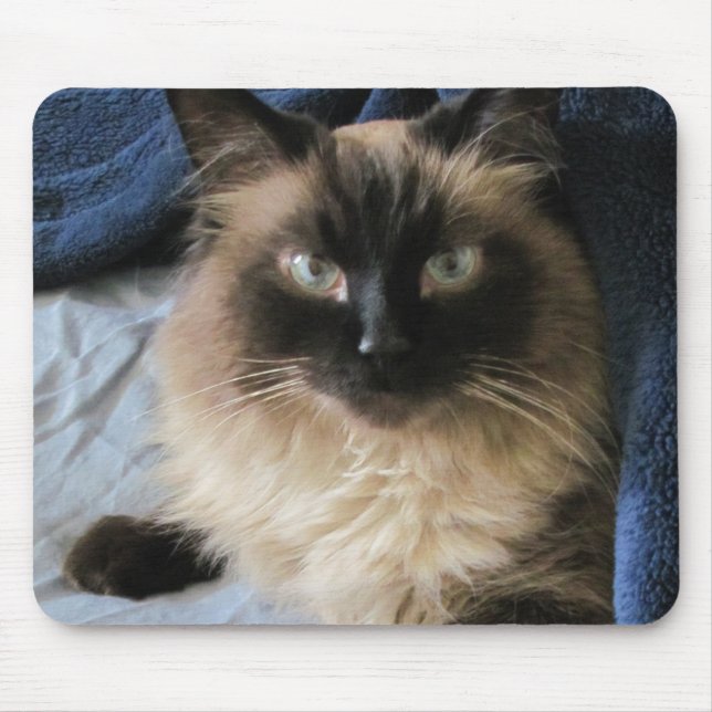 Ragdoll Cat  Mouse Pad (Front)
