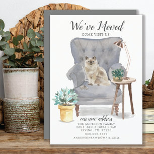 Ragdoll Cat Moving Announcement