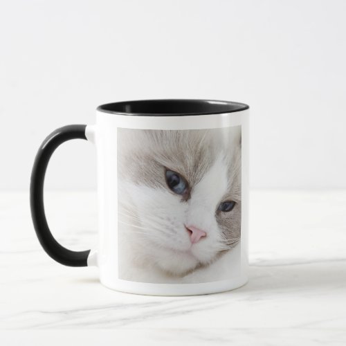 Ragdoll cat mug