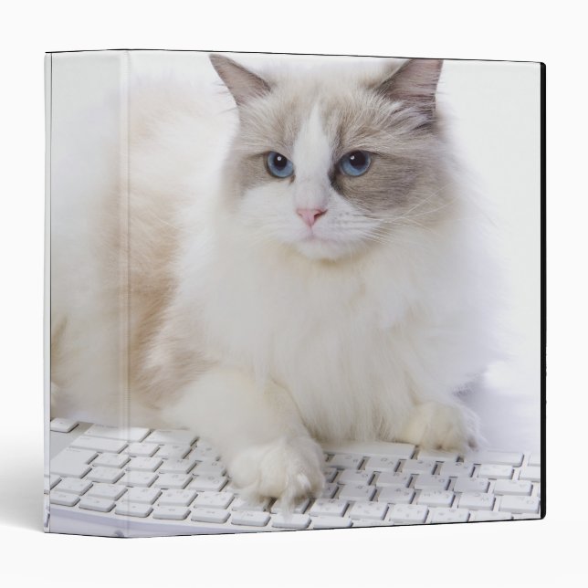 Ragdoll cat on computer keyboard 3 ring binder (Front/Spine)