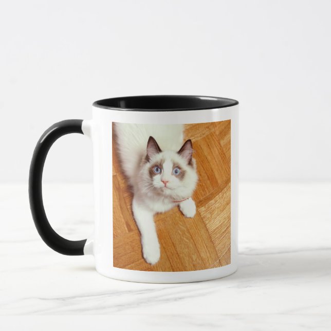 Ragdoll cat on floor, elevated view mug (Left)