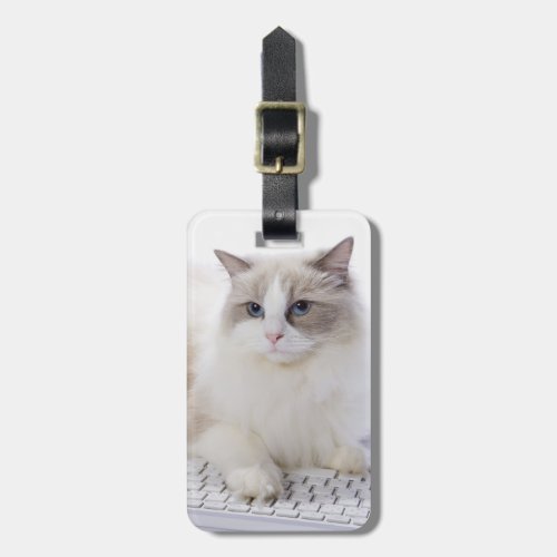 Ragdoll Cat on Keyboard Luggage Tag